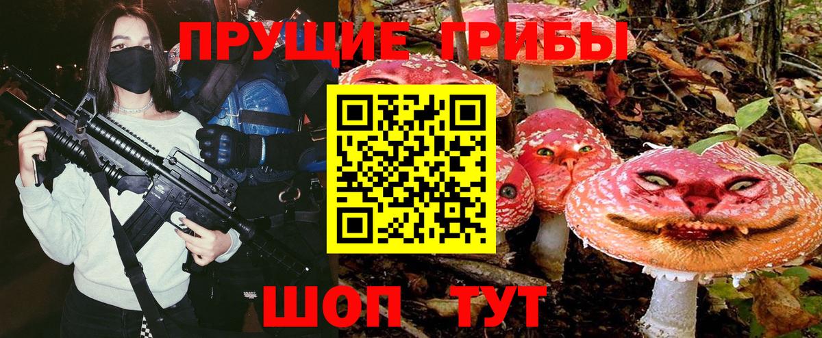 Псилоцибиновые грибы Psilocybe Архангельск