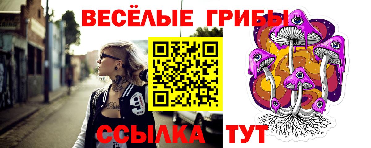 Псилоцибиновые грибы GOLDEN TEACHER  где можно купить наркотик  Архангельск 