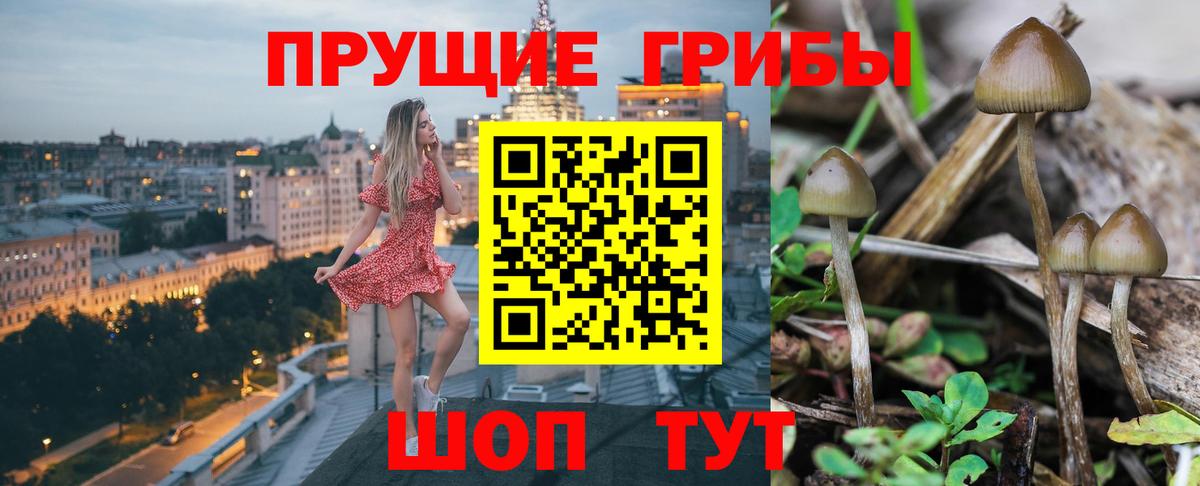 Архангельск  Псилоцибиновые грибы мухоморы  Вход с VPN 