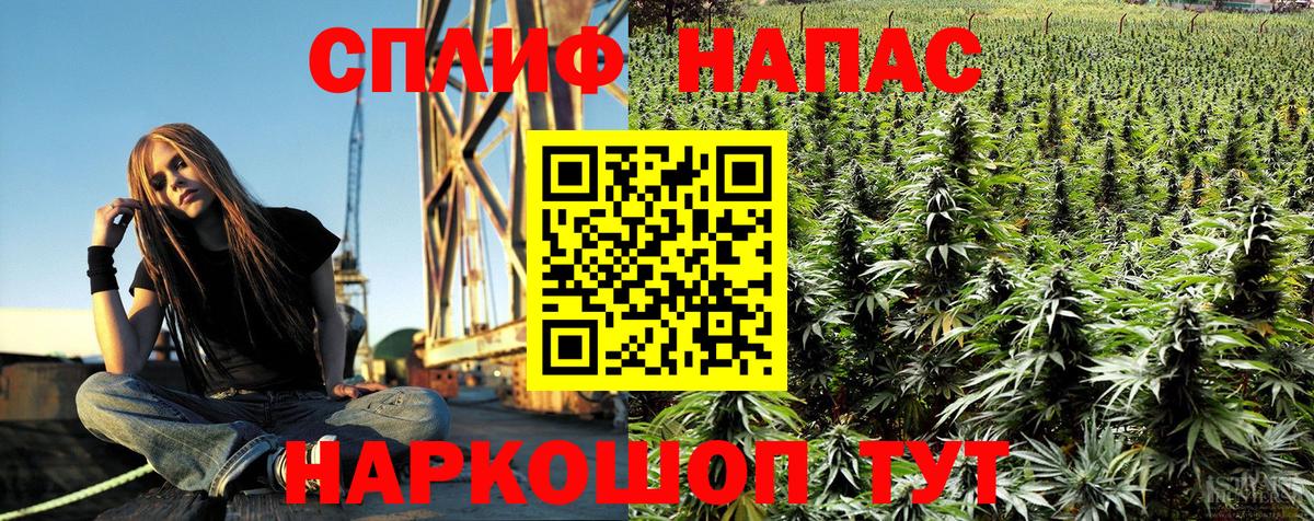 МАРИХУАНА ГИДРОПОН Архангельск